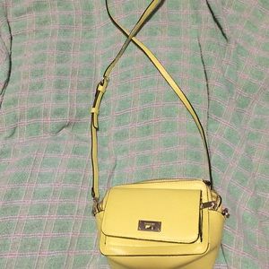 Small Yellow Greenish Purse